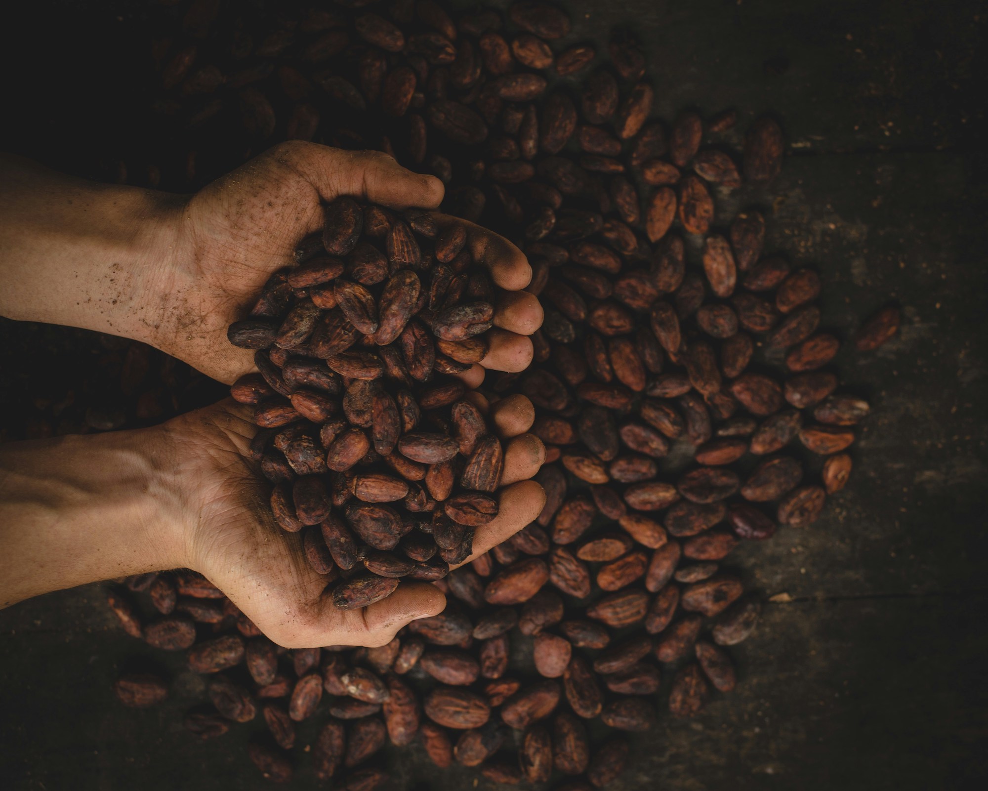 Cocoa Prices on Record Heights upon Weak Production